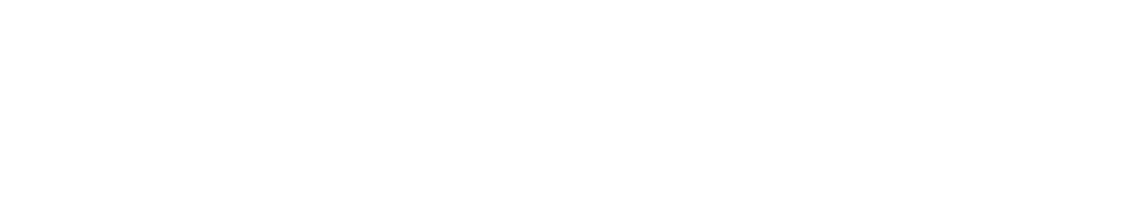 paysafe